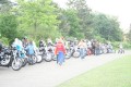 Thumbs/tn_2008.06.08 192.jpg